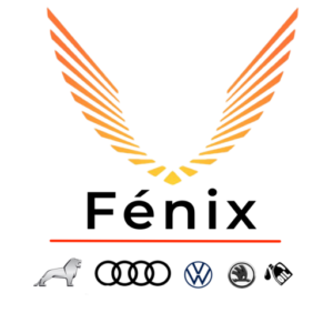 Fenix actividades