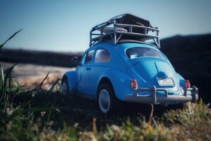 Escarabajo Fenix automocion